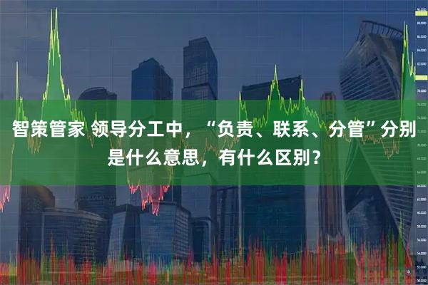 智策管家 领导分工中，“负责、联系、分管”分别是什么意思，有什么区别？