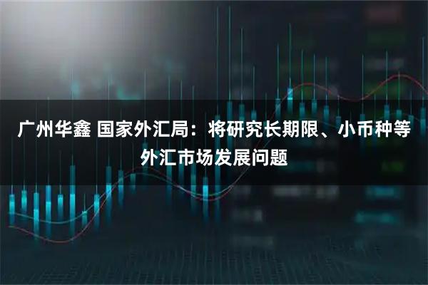 广州华鑫 国家外汇局：将研究长期限、小币种等外汇市场发展问题